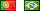 português / brasileira